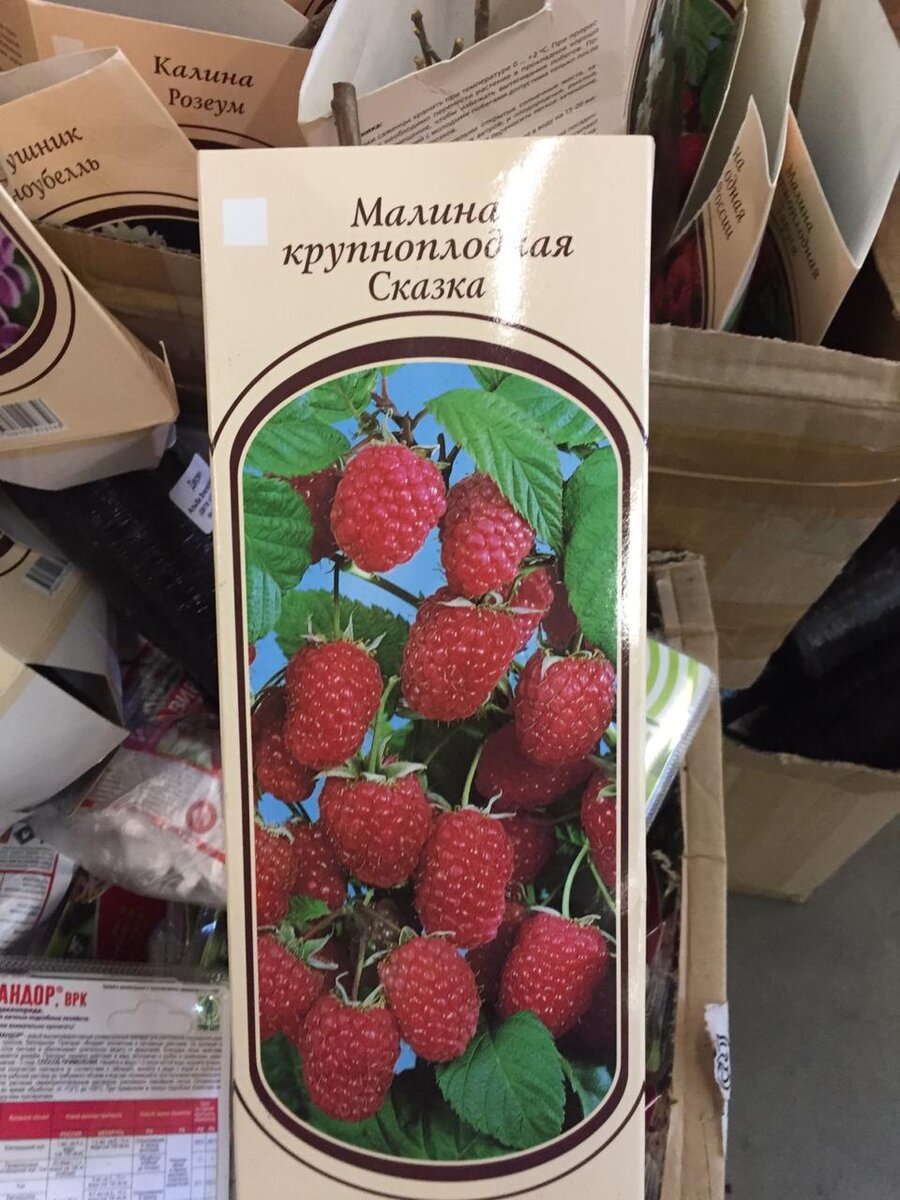 Малина нескольких сортов. Листайте карусель.