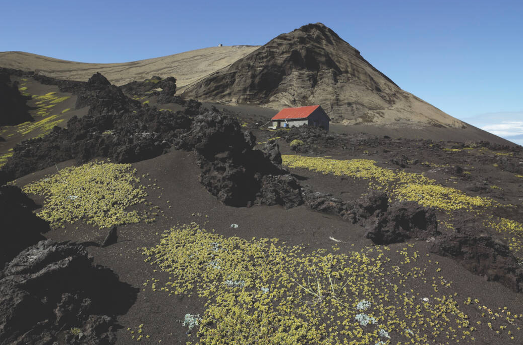 На острове из построек есть только небольшая исследовательская станция