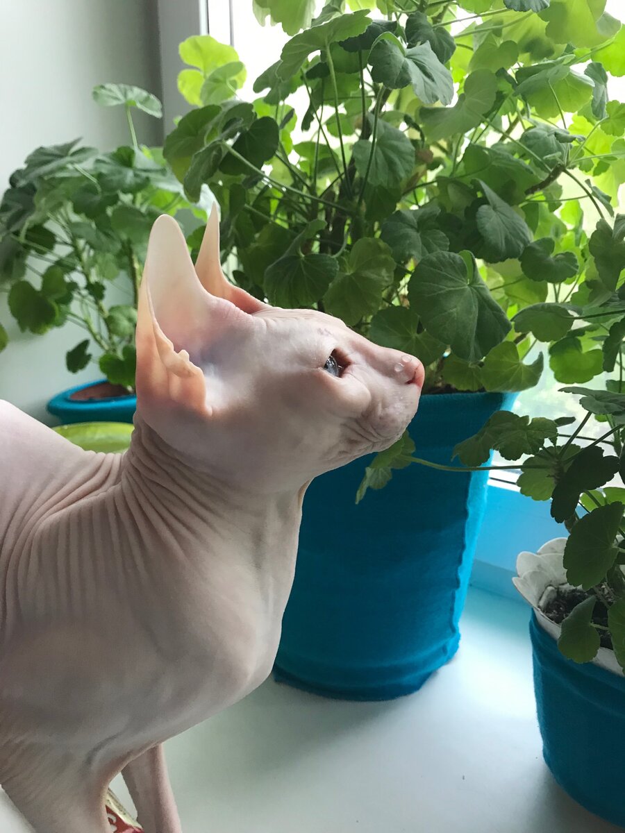 Обожаю эти капельки на носу 🥰