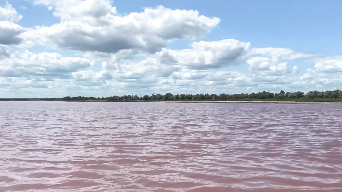 Благовещенский алтайского края