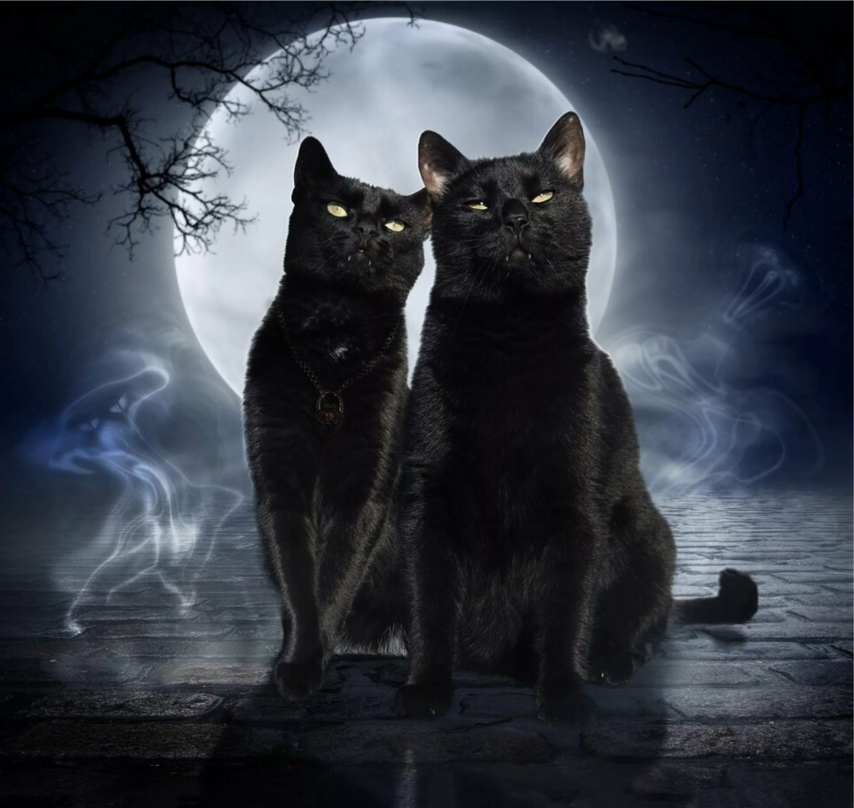 Фото с avatars.mds.yandex.net/get-pdb/2212586/41d26555-580e-4096-bffd-2bd554274c8f/s1200?webp