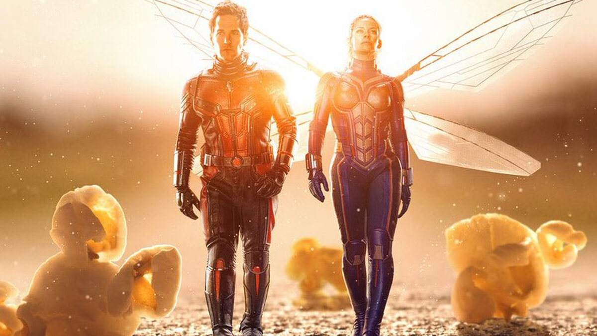 Картинка из открытого доступа.