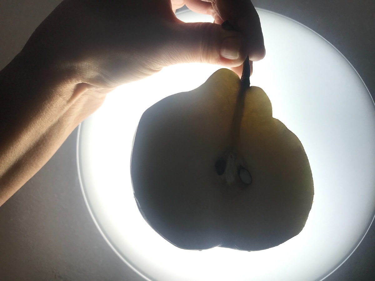 Висит груша — нельзя скушать | ©️ Фото: FreeAuthor