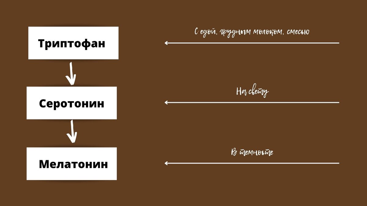 Схема выработки мелатонина для появления желания спать 
