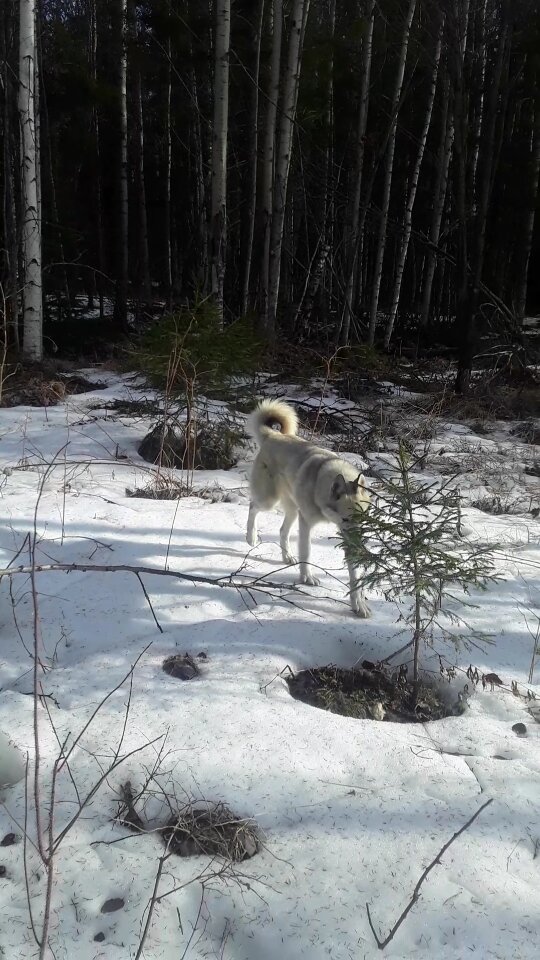 Фото автора.