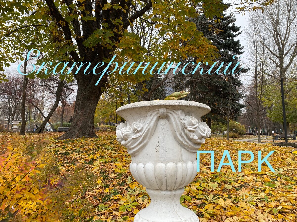 Фото автора.