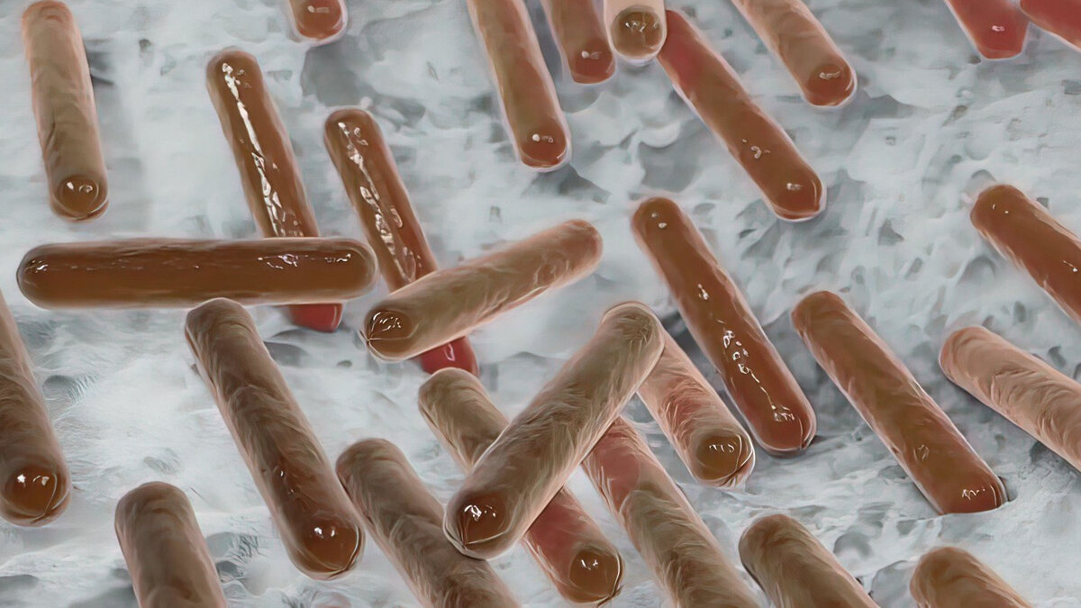    Clostridium Difficile — бактерия, по вине которой людям приходится соглашаться на пересадку микробиома., фото: Zoonar GmbH / Alamy