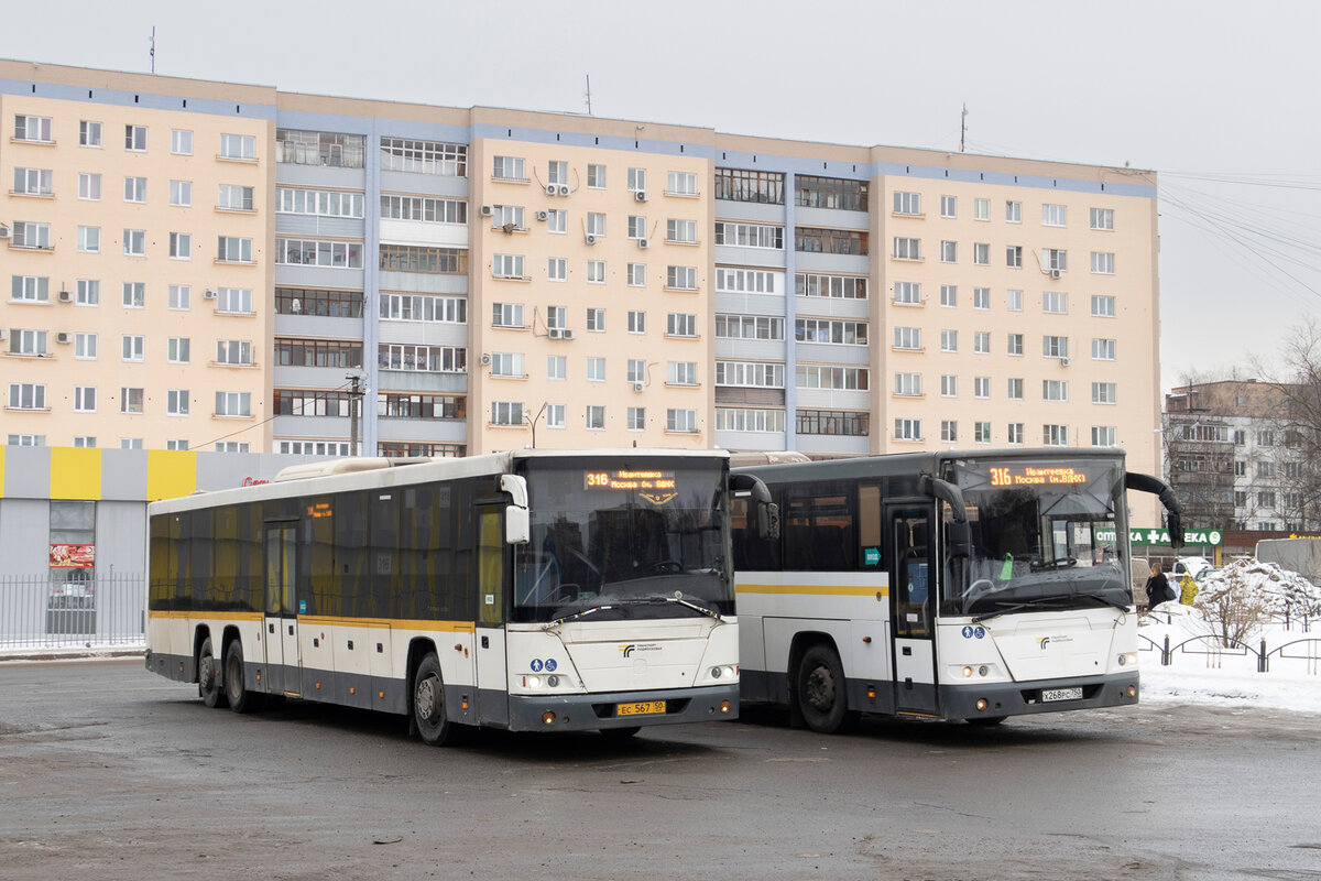 Один из самых загруженных маршрутов из области в Москву - №316 Ивантеевка-ВДНХ.