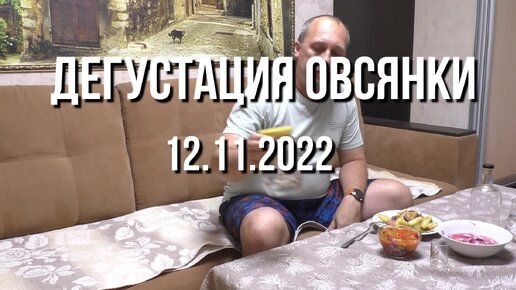 2022.11.12 Дегустация овсянки