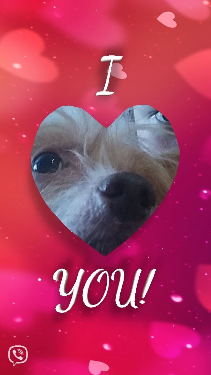 Наш любимец.