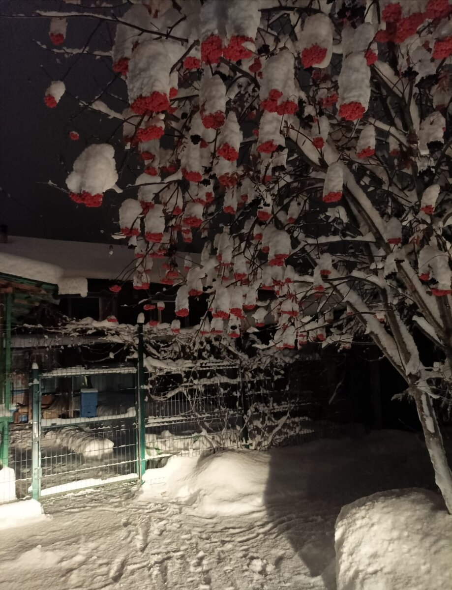 фото из семейного альбома