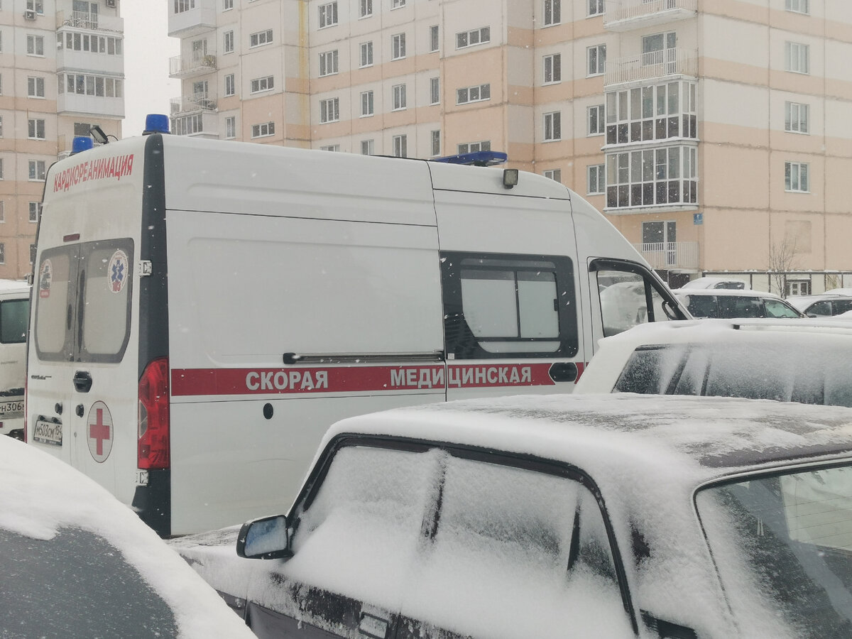 Фото: Царьград Новосибирск