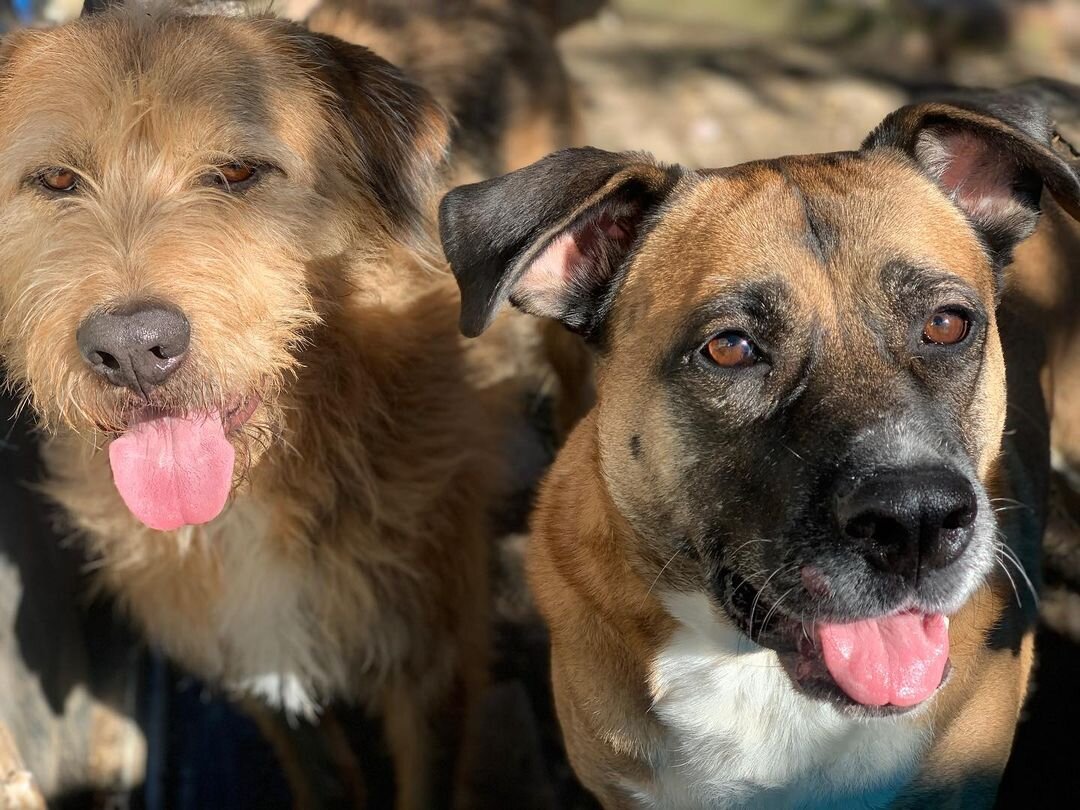   mertakkoek / соцсети