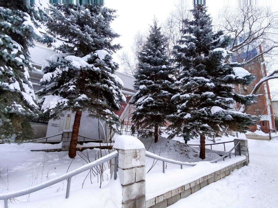     Из-за большого количество осадков регоператор работает в усиленном режиме Анна Ковалёва