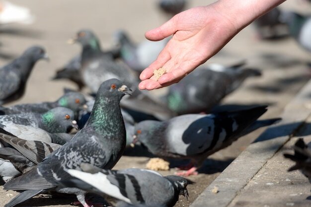 Фото из интернета 