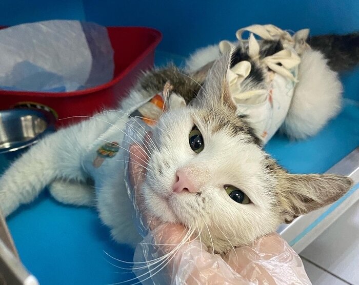 фото из интернета