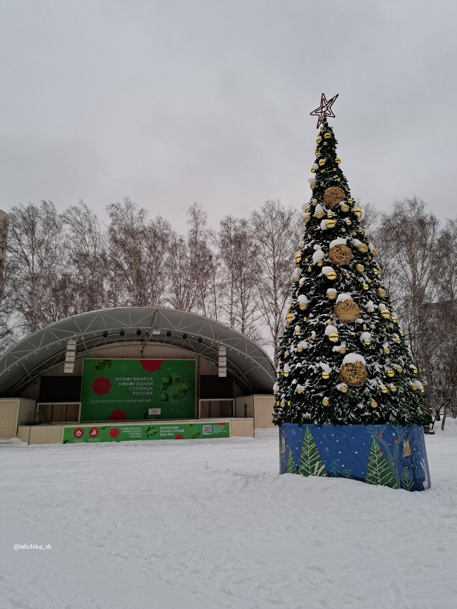 Ёлки в Березовой роще🎄 | Прогулки по городу N. | Дзен