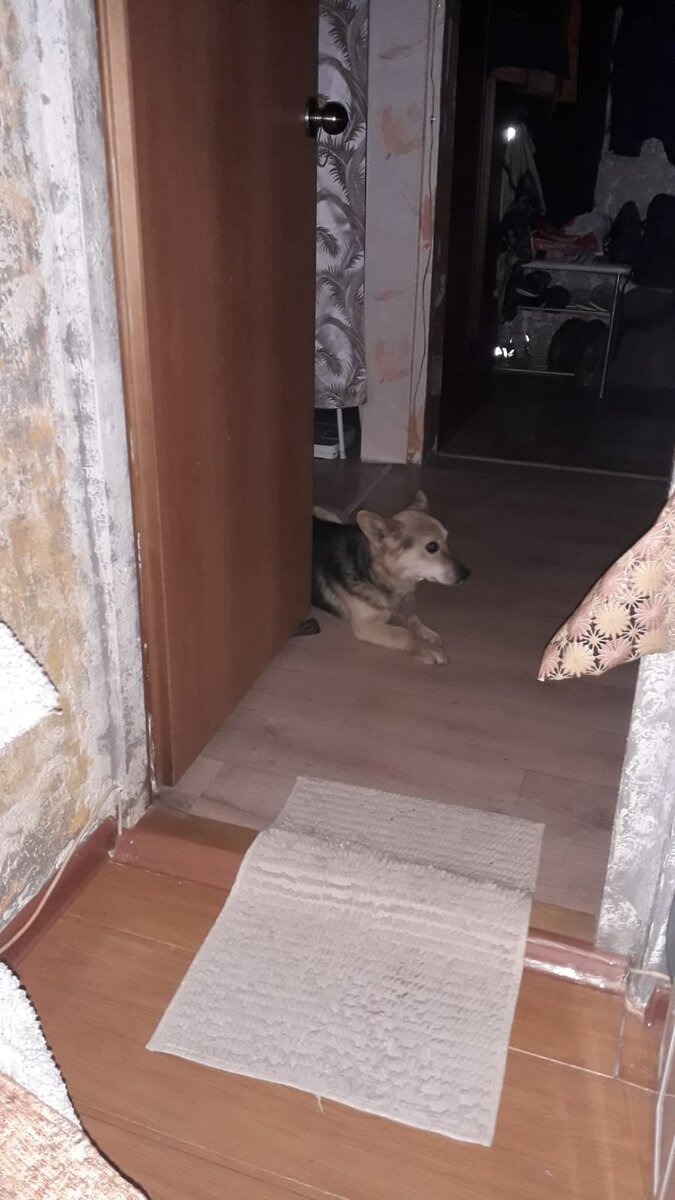 Привет из дома