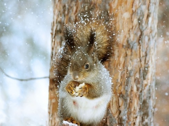     фото: pixabay.com