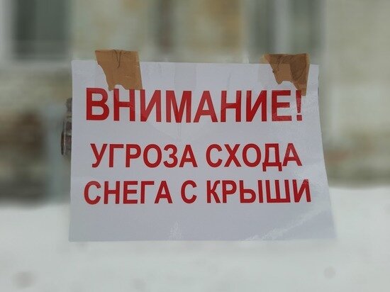     ФОТО: АНДРЕЙ КОВАЛЕВ / "МК В ТОМСКЕ"