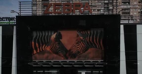    Фото: скриншот с сайта YouTube.com