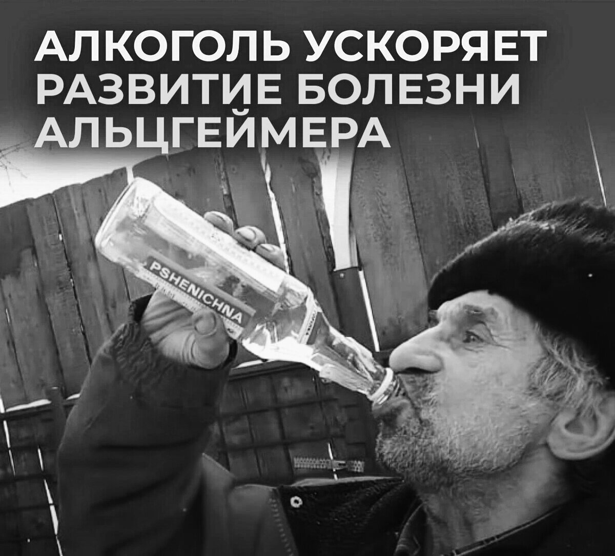 Источник: lenta.ru