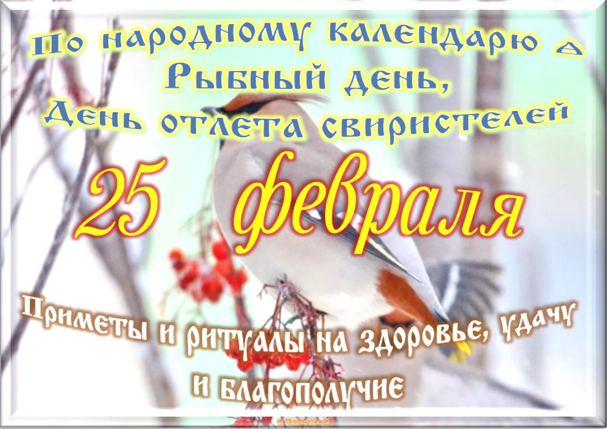 25 февраля