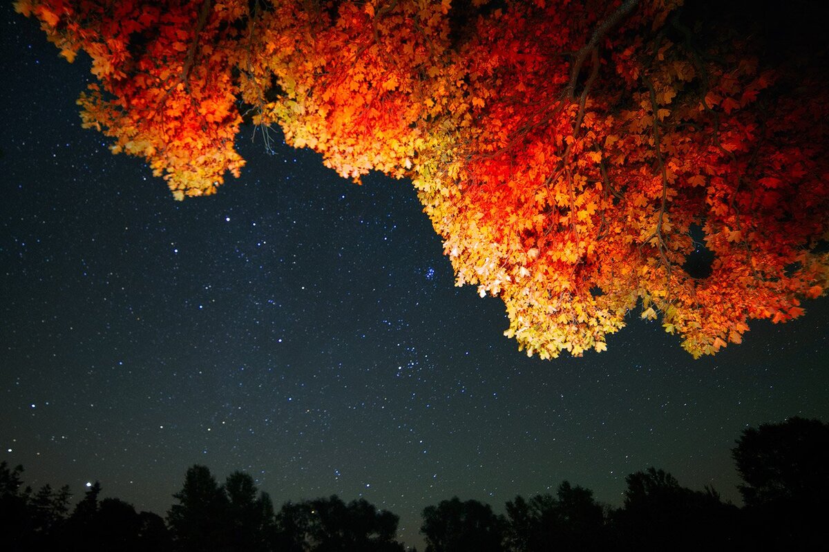 Звезды словно огоньки. Осенняя ночь. Осеннее небо. Ночная осень. Осеннее звездное небо.