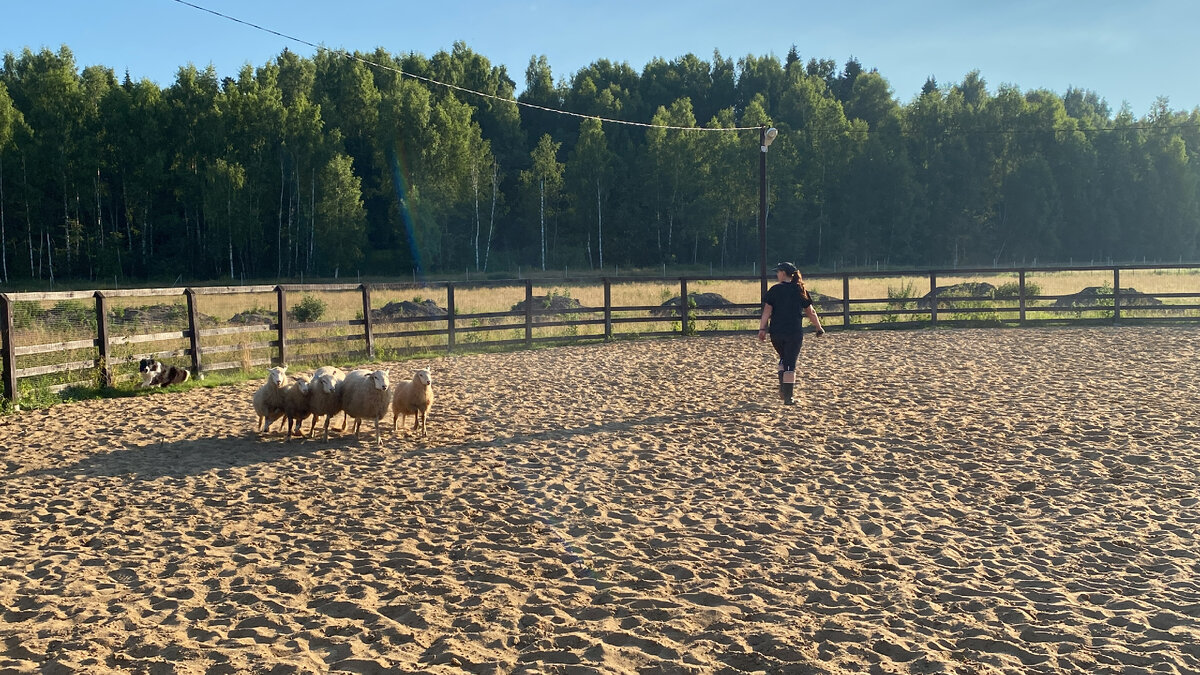 Баланс на проводника. Скай и Ольга Шабельская, АТК Горыныч.