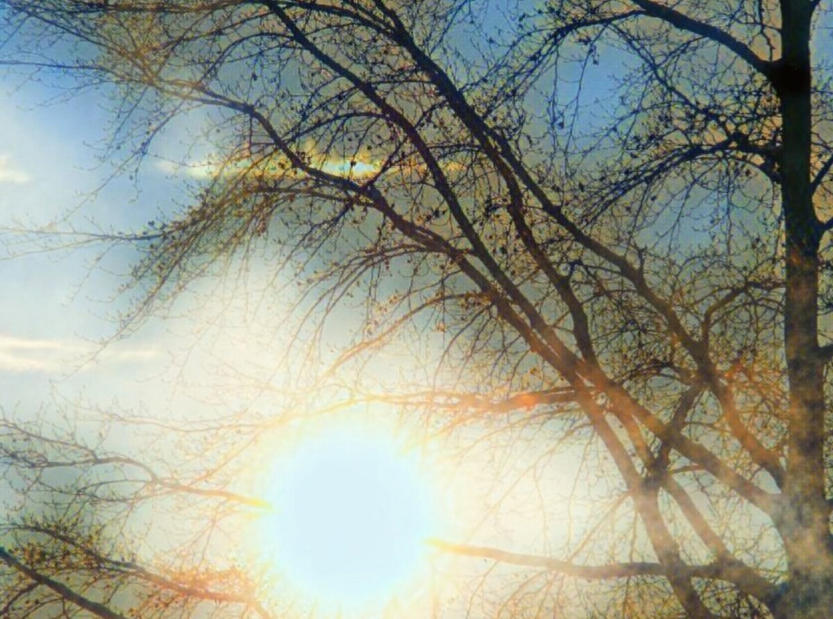 Весенний рассвет.