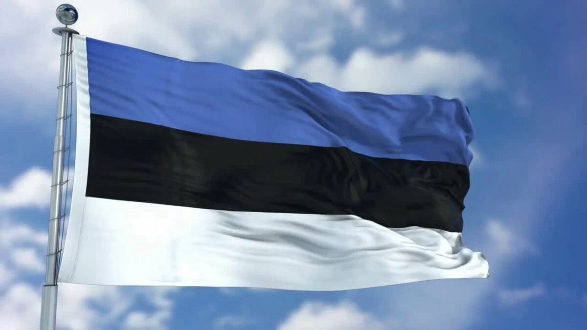 Флаг эстонии картинки