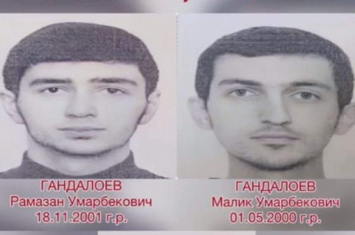    Младший из пропавших в Ингушетии студентов с пятёрок скатился на двойки