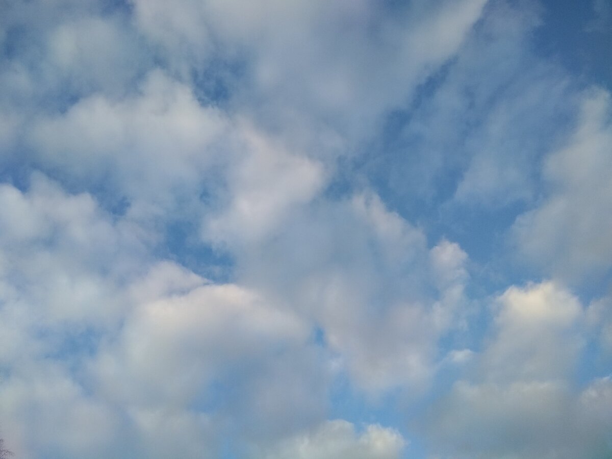 Фото из личного архива