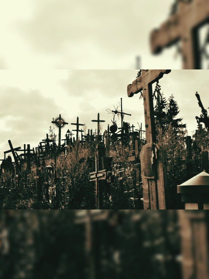 Крестовый лес 