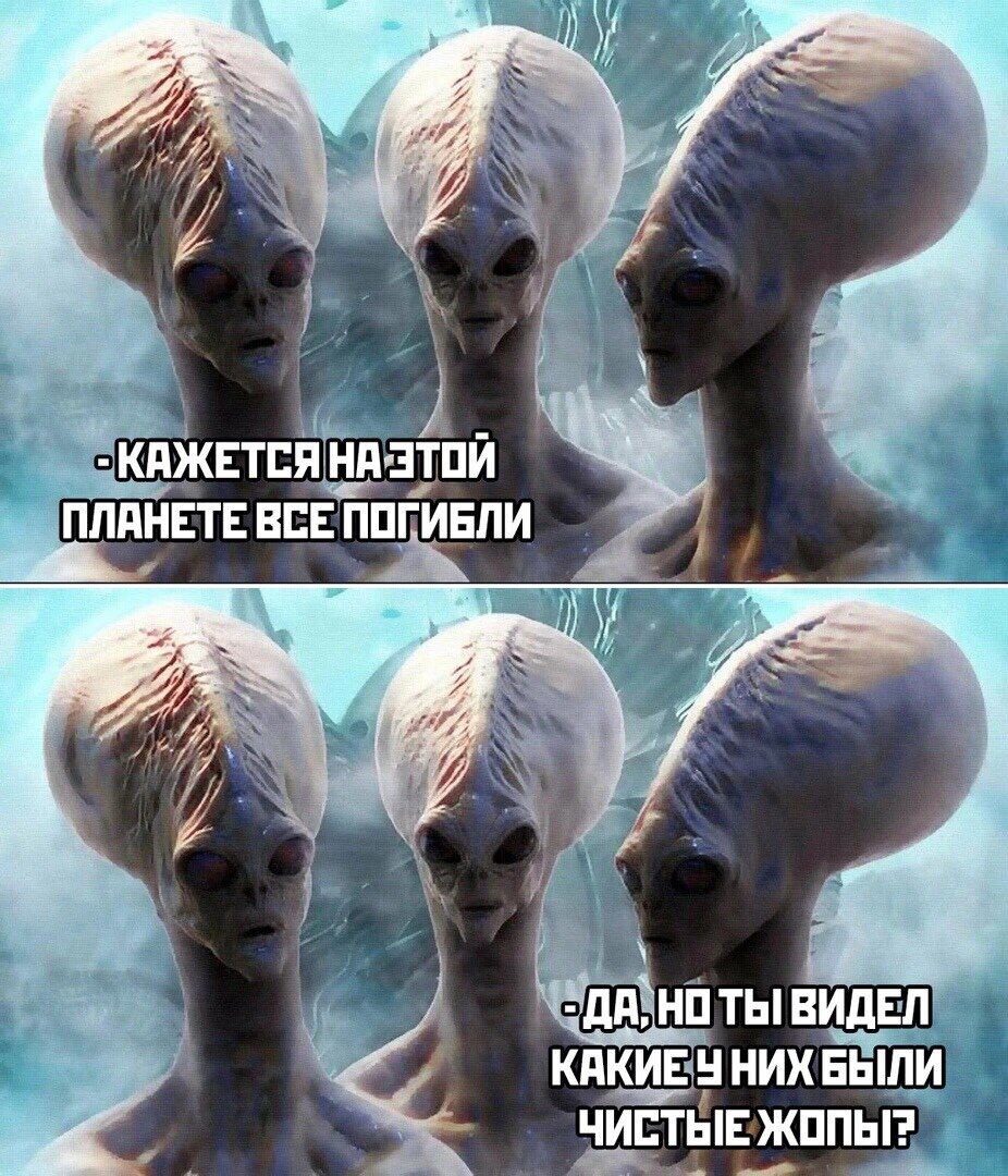 Источник - Яндекс. Картинки