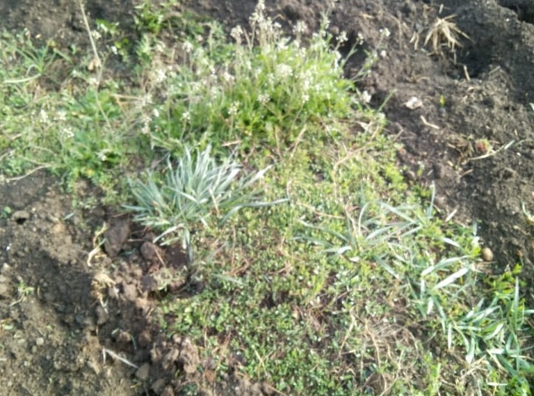 Фото из личного архива