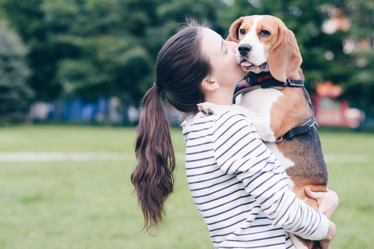 Любящий хозяин всегда позаботится о здоровье питомца 