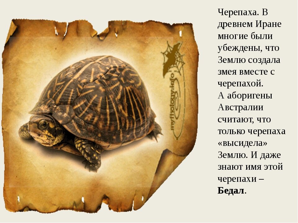 Черепаха символ. Легенда о черепахе. Древняя черепаха название. Легенда о черепахе для детей. Легенда о панцире черепахи.