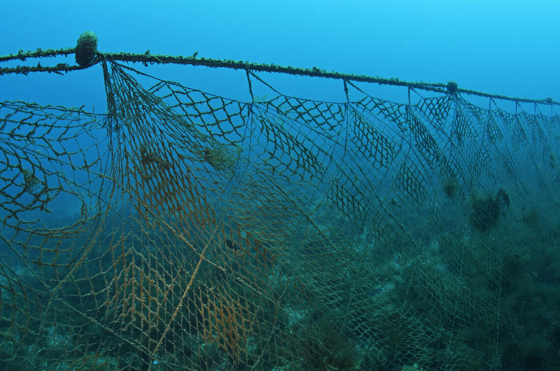 Источник: lifegate.com