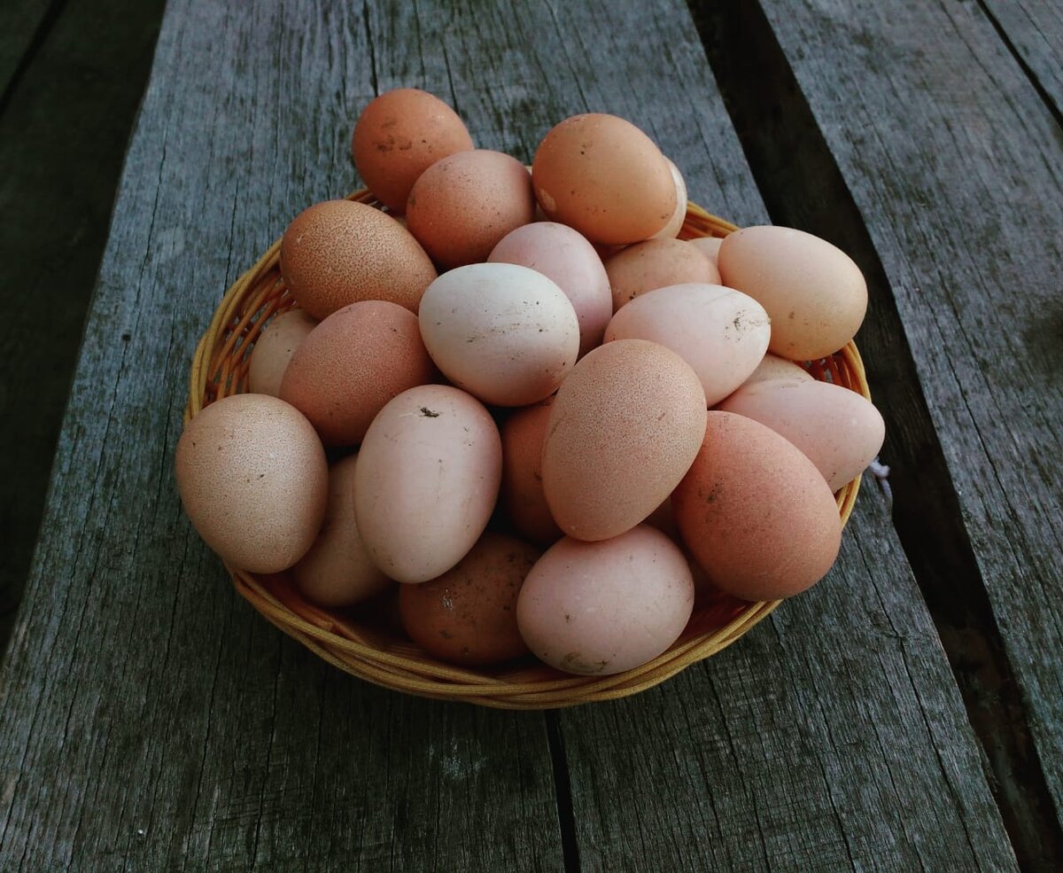 яйца цесарки. Фото с сайта yandex.ru