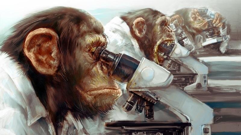 Глупец и наука 