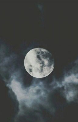 Картинка взята с сайта Pinterest