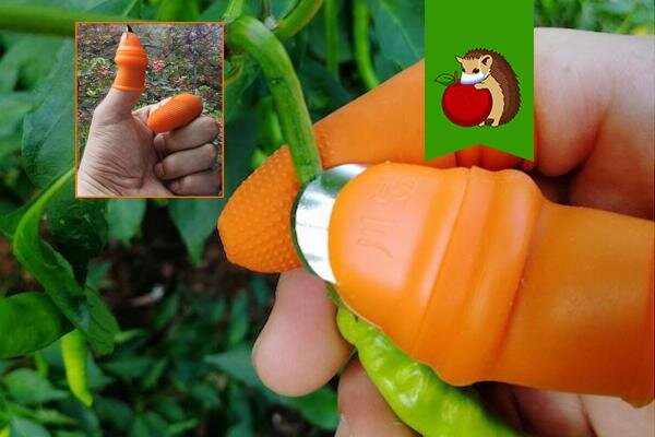 3 варианта необычных перчаток для сада и огорода, которые здорово помогут на грядках