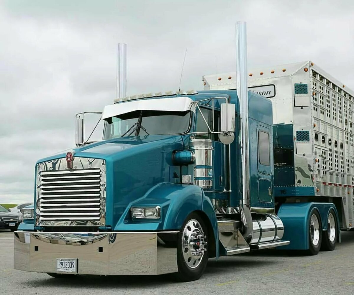 Источник фото: Яндекс картинки