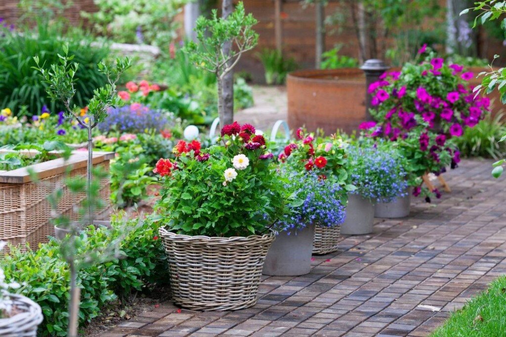 Из интернета