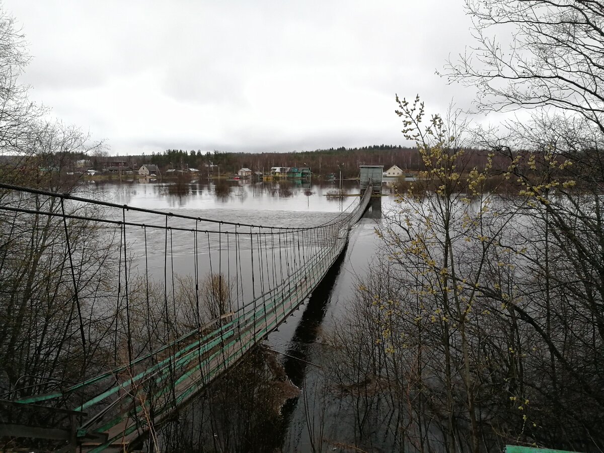 НАВОДНЕНИЕ в городе Харовск, Вологодской области. | Дмитрий Флегантов блог  | Дзен