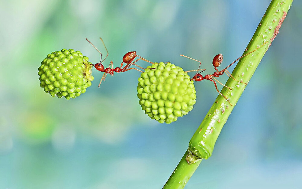 Буду благодарна, если подпишетесь на канал или поставите лайки. Так вы поможете развитию канала.