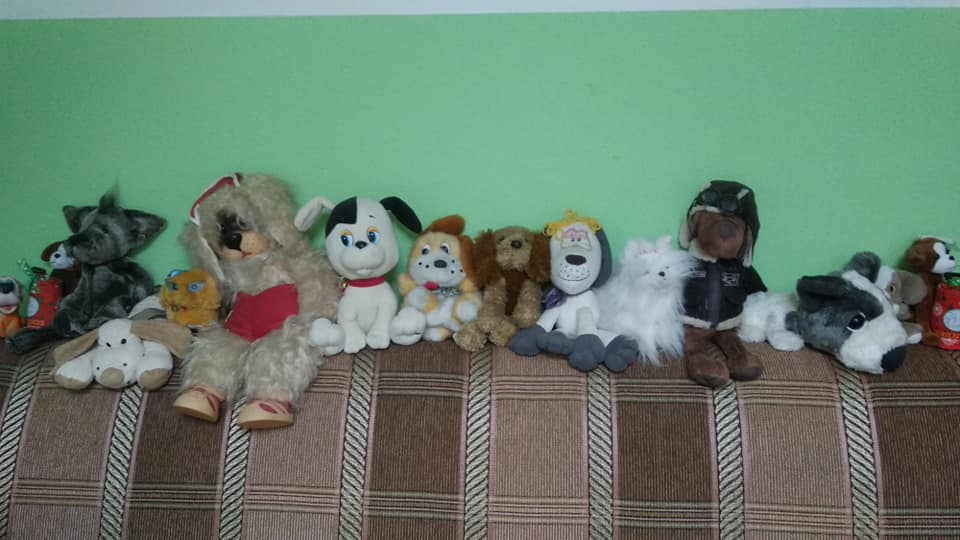 Собаки Музея Собаки (фото Музея Собаки)