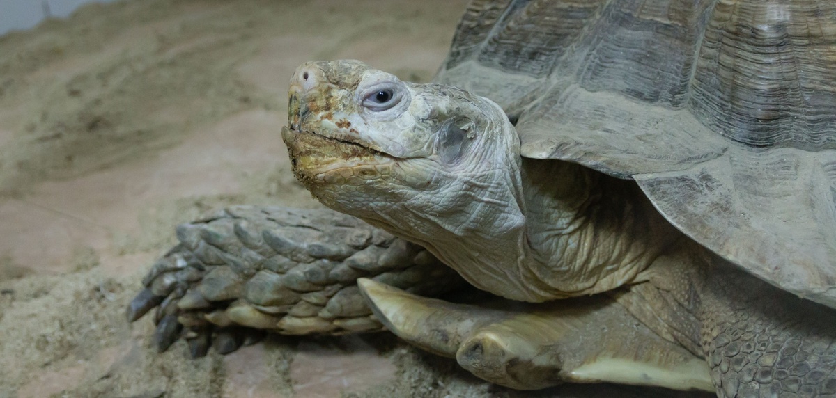 Подписывайтесь на канал и ставьте палец вверх! Это помогает его развитию!