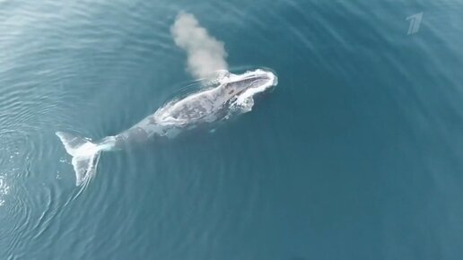 Рекорды российских морей — готовимся к курортному сезону